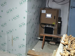 山东姜片烘干房工作现场